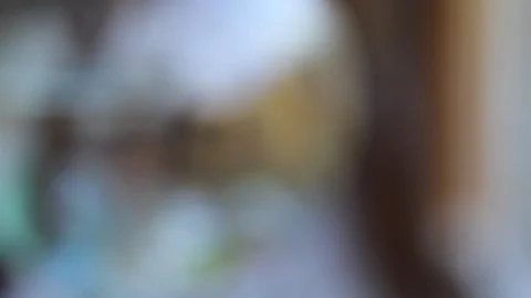 Small branches with green leaves stand in transparent vase Stock Footage 129946463