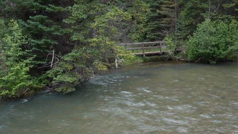 Small bridge on the bank of the river between tall pines￼ Stock Footage 117467547