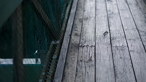 Small bridge in the forest Video stock 94880092