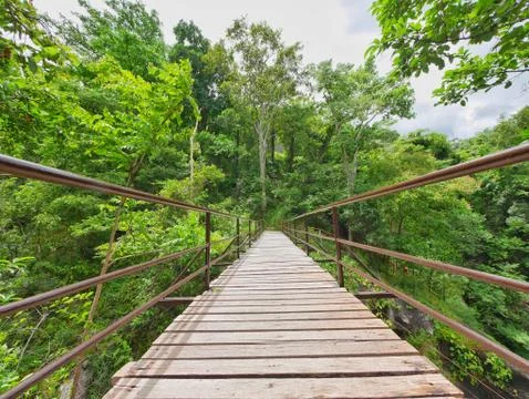 Small bridge to the forest Stock Photos