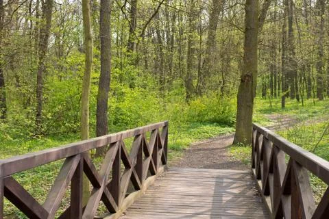 Small bridge in the forest in the springtime Stock Photos
