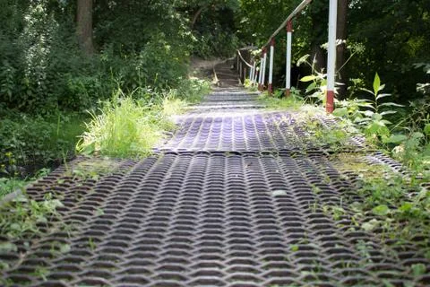 A small bridge over the forest river Foto stock