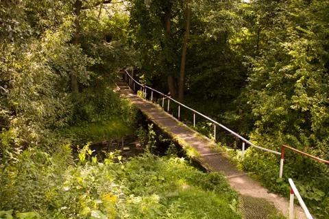 A small bridge over the forest river Stock Photos
