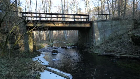 Small Bridge Over Forest Stream Video stock 328313207