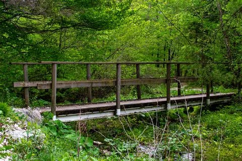 Small bridge over a forest stream in the Austrian Alps Foto stock