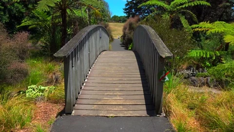 Small bridge over the pond in the park Stock Footage 131779505