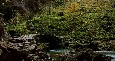 Small bridge over a river in Rak Škocjan (Rak Skocjan) valley Stock Footage 168699736