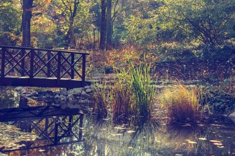 Small bridge in the park Stock Photos