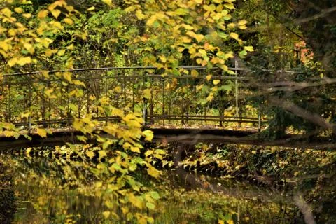 Small bridge in a park surrounded by trees in autumn Stock Photos