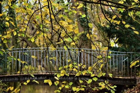 Small bridge in a park surrounded by trees in autumn Stock Photos