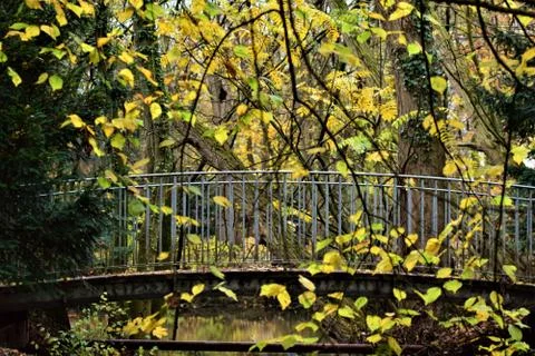 Small bridge in a park surrounded by trees in autumn Stock Photos