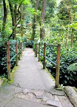 Small Bridge Stock Photos