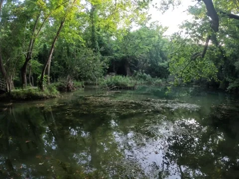 A small bridge with water under it Stock Footage 253333739