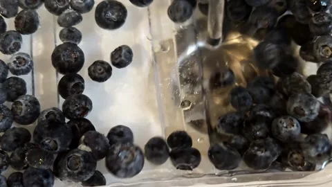Small, bright blueberries float in the water. Stock Footage 318799769