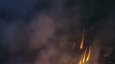 Small bright flame burning dry grass producing thick gray smoke against dar.. Stock Footage 343280985