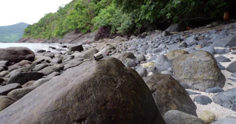 Small broken light bulb lying on rock on the beach of Tioman Island Stock Footage 314770716