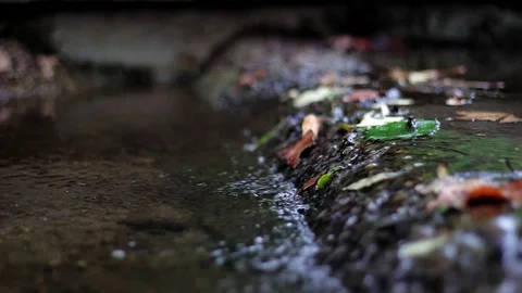 Small brook 01 Stock Footage 113861374