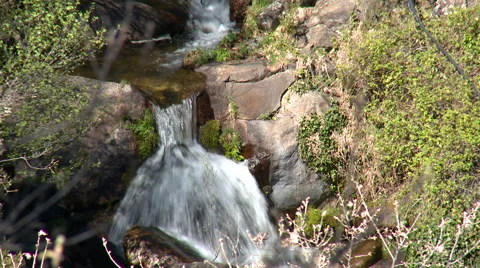 Small brook advancing among rocks and vegetation Stock Footage 49626488