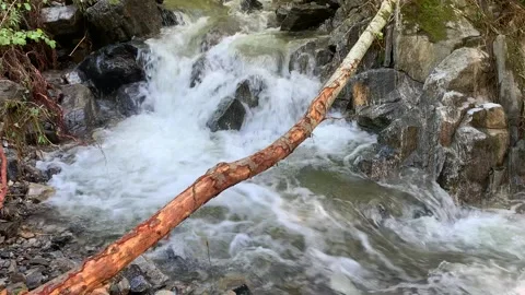 Small Brook after Heavy Rain Stock Footage