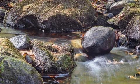 A small brook flowing through the wilderness Foto stock