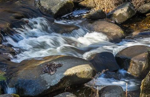 Small brook flowing through willard brook state forest Foto stock