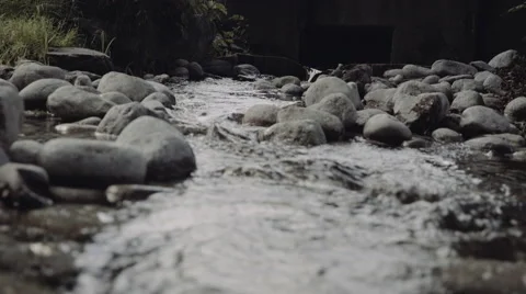 Small brook Video stock 56142712