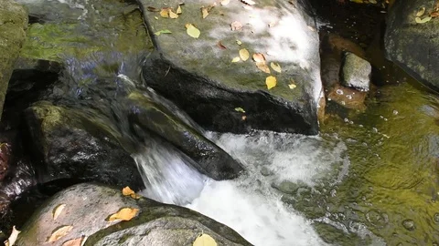 Small Brook Stock Footage 101619396