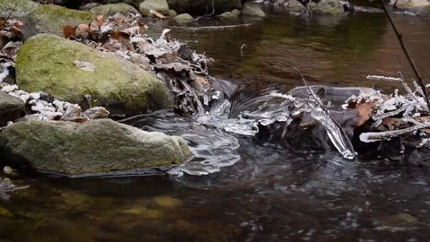 Small brook in a forest Stock Footage 71085396