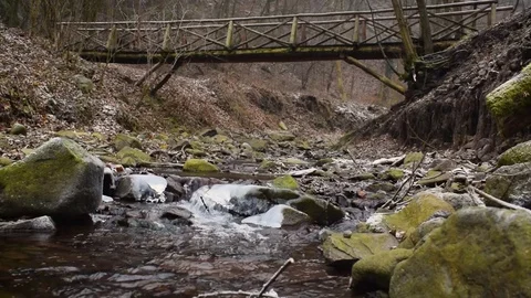 Small brook in a forest Stock Footage 71085479
