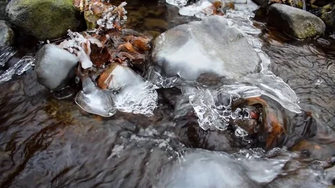 Small brook in a forest Stock Footage 71085751