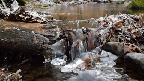 Small brook in a forest Stock Footage 71085755
