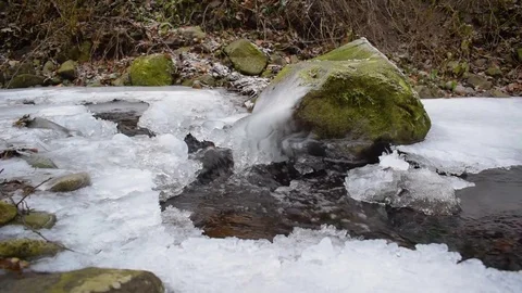 Small brook in a forest Stock Footage 71085765