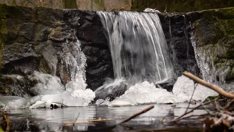 Small brook in a forest Stock Footage 71085777