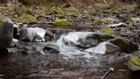 Small brook in a forest Stock Footage 71085781