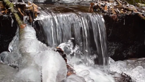 Small brook in a forest Stock Footage 71085786