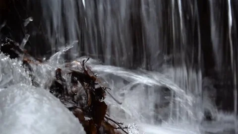 Small brook in a forest Stock Footage 71085796