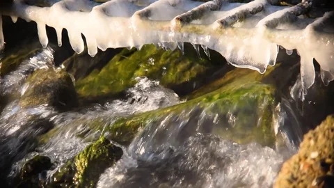 Small brook in a forest Stock Footage 71414791