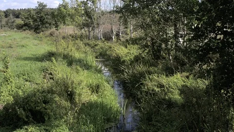 Small brook running through meadow Stock Footage 104135724