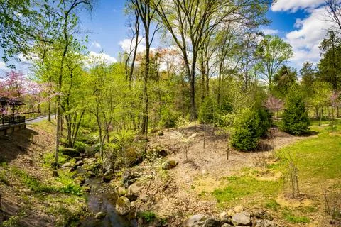 Small Brook Running Thru Many Rocks and Boulders With Trees Just Starting to Stock Photos