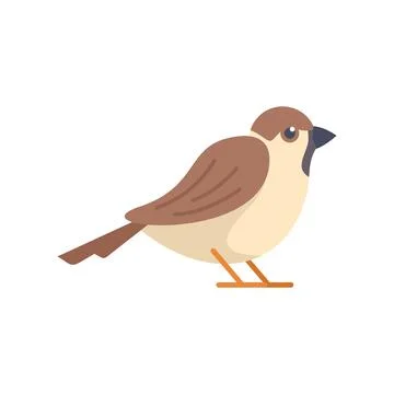 Small brown bird standing on tiny orange legs イラスト素材