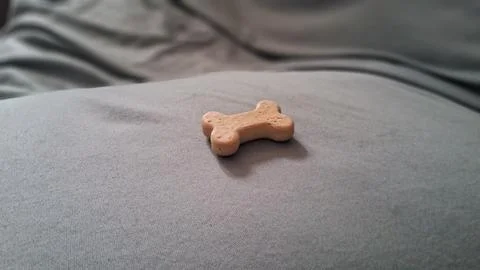 Small brown bone shaped dog treat resting on soft fabric Stock Photos