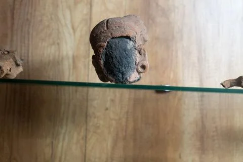 A small brown object with a black head sits on a wooden surface. in Chennai Stock Photos