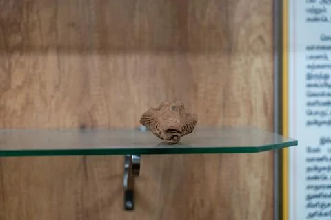 A small brown object is sitting on a shelf. in Chennai Stockfoto's