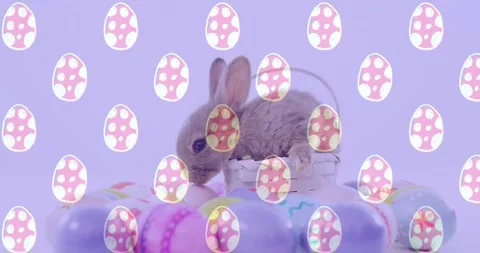 Small brown rabbit spotting eggs in basket turning flicking ears sniffing Stock Footage 329703218