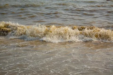 Small brown wave breaking on a sandy beach shore Stock Photos