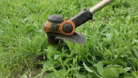 A small brush cutter cutting the grass Stock Footage 287040366
