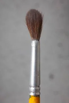 Small brush on grey background Stock Photos