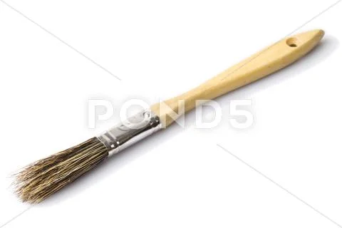 Small Brush Isolated On White Background Studio Shot Stock Photos