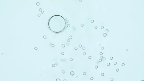 Small bubble joint together to be a bigger and break Stock Footage 243171822
