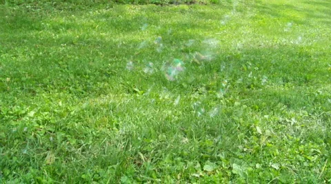 Small bubbles Stock Footage 449092